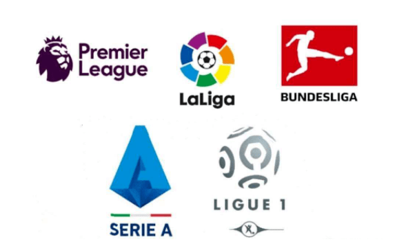 维尼修斯的 维尼修斯的